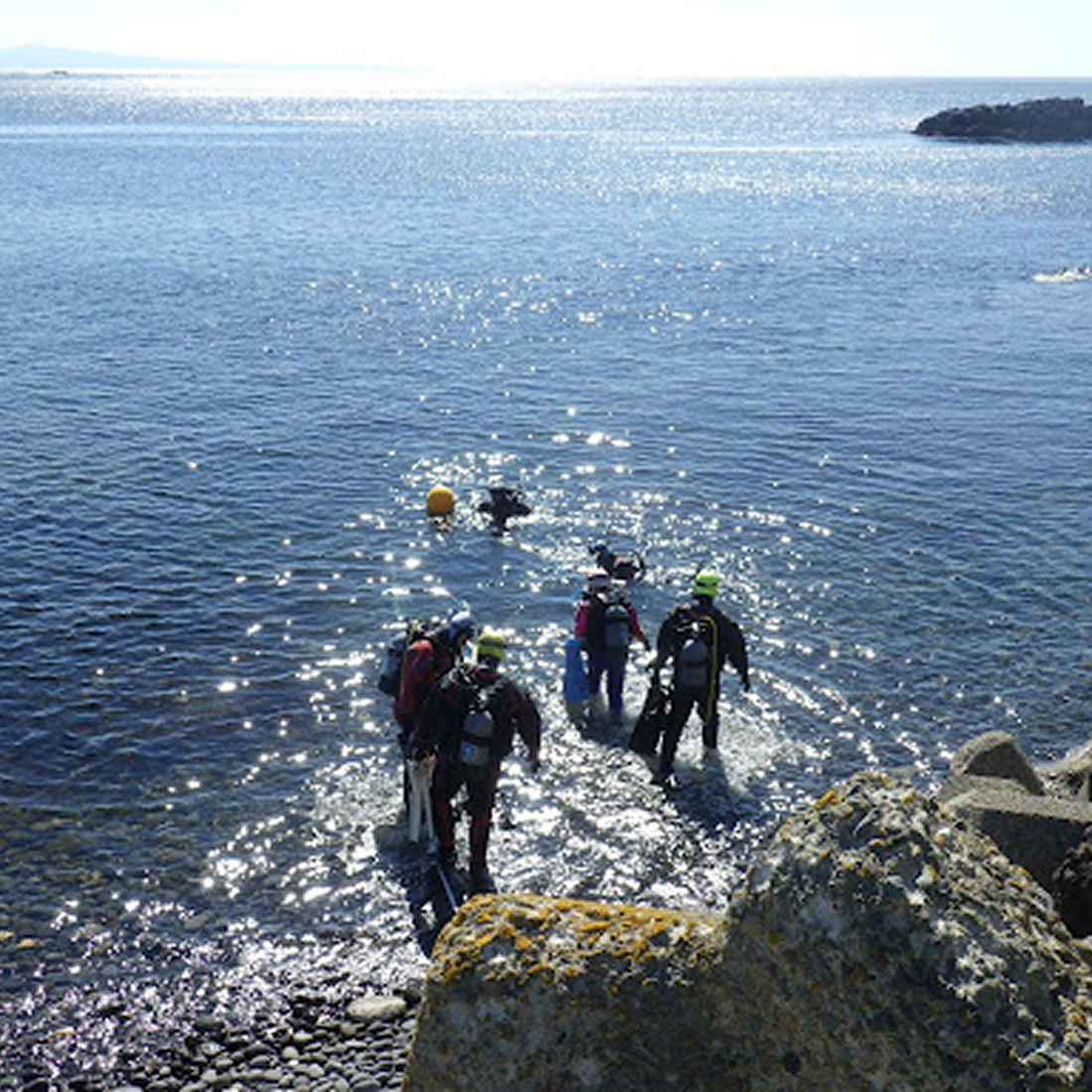 海の浅瀬を散策している人たちの様子