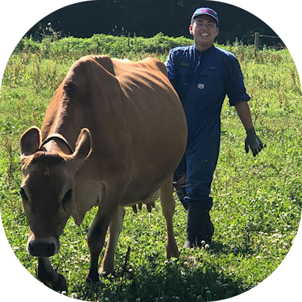 馬の世話を笑顔で行う男子高校生の様子