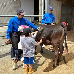 スタッフに見守られながら馬の毛をといている子供たちの様子