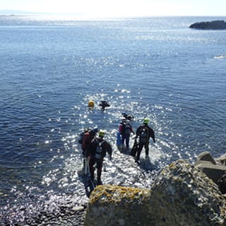 海辺で散策を行っている人たちの様子