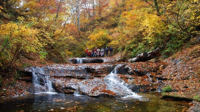 川の両端に紅葉した木並んでいる様子